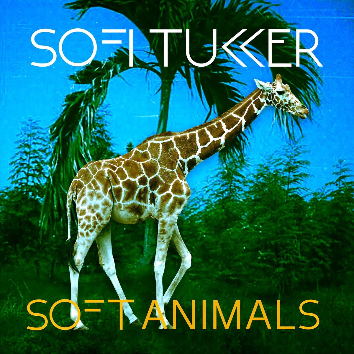 Album cover of Drinkee