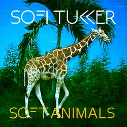 Cover of Soft Animals