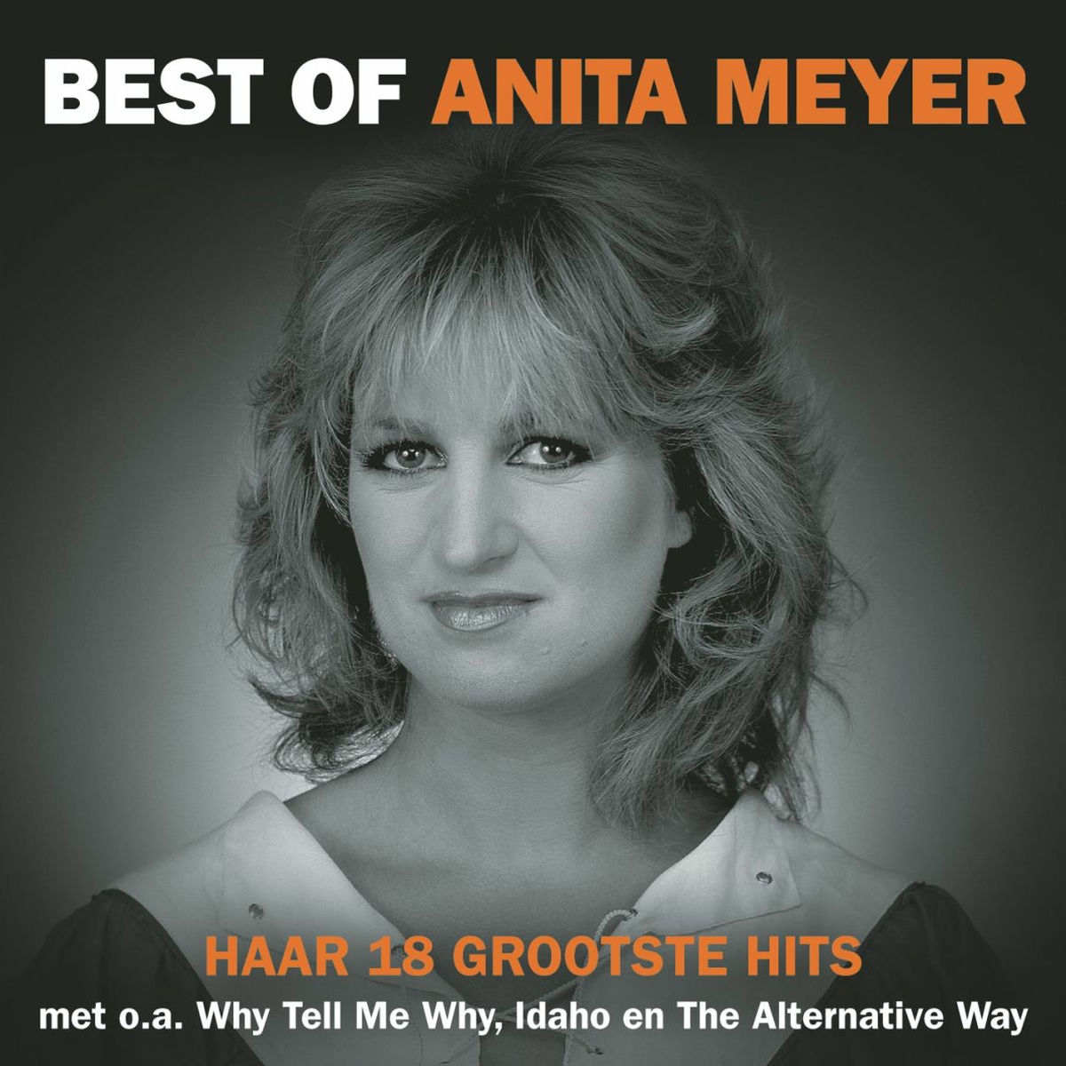 Album cover of Best Of Anita Meyer