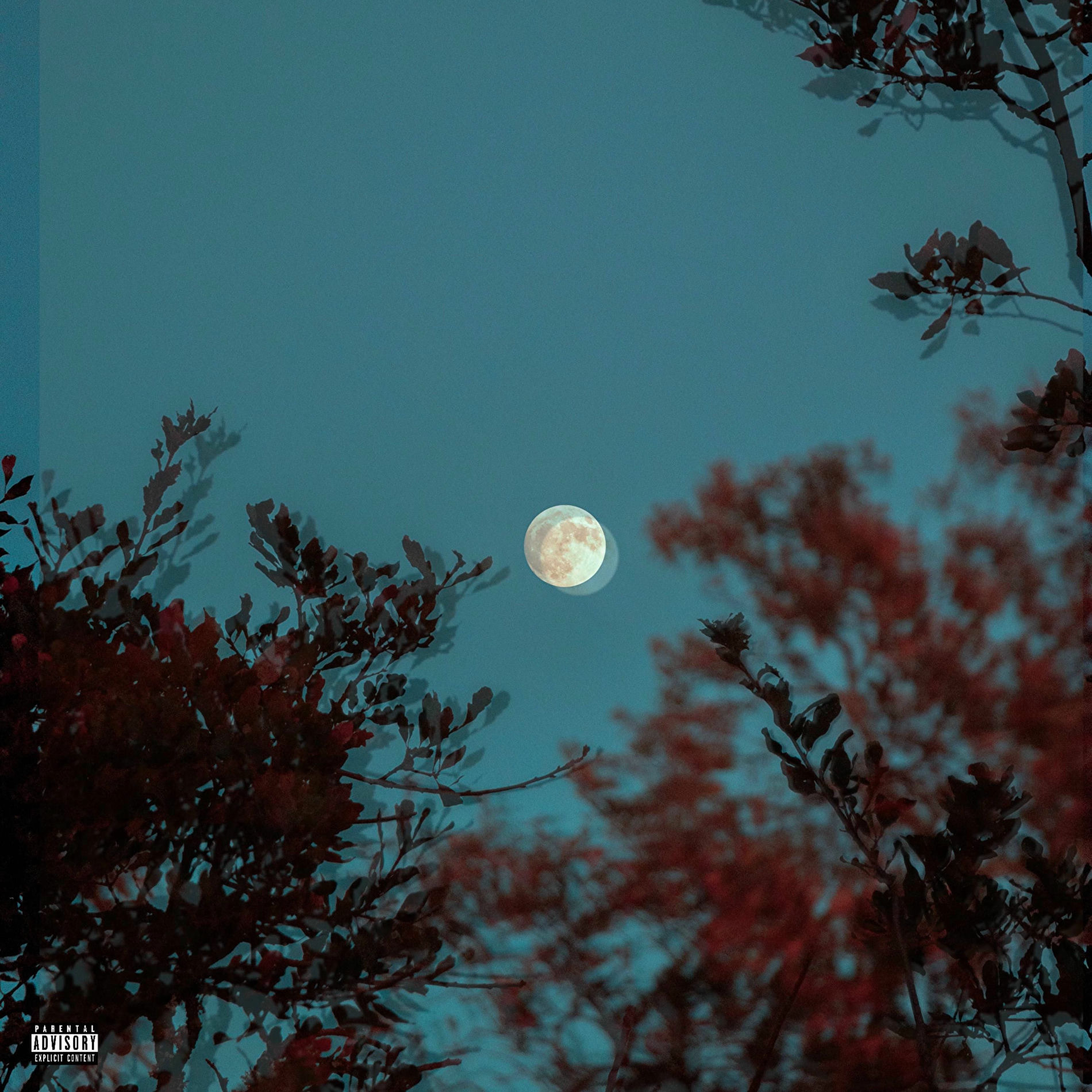 Album cover of Twilight