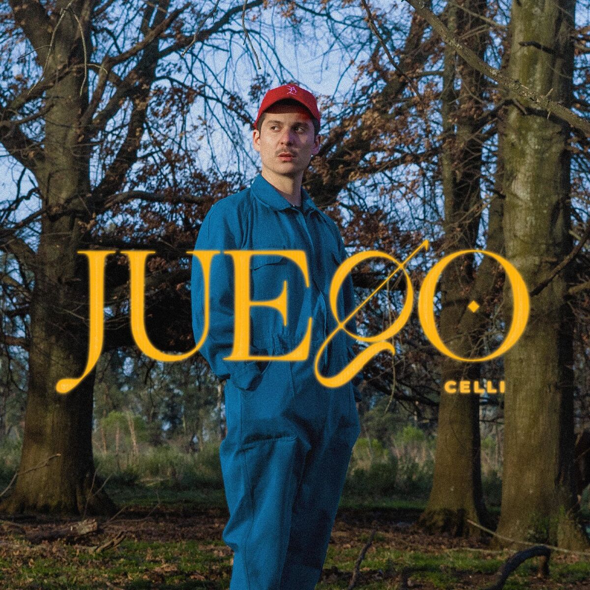 Album cover of Juego