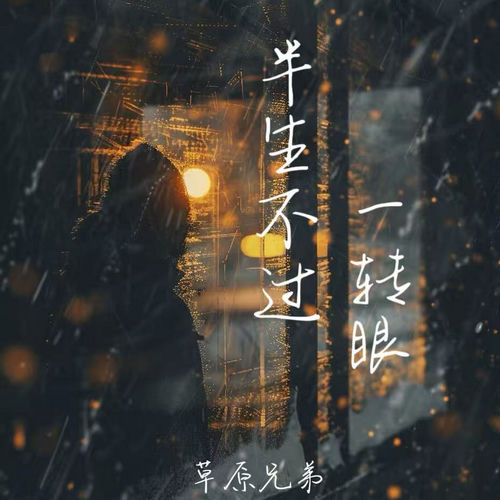 半生不过一转眼 (生活过得一塌糊涂)