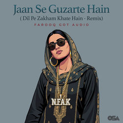 Jaan Se Guzarte Hain (Remix / Dil Pe Zakham Khate Hain)
