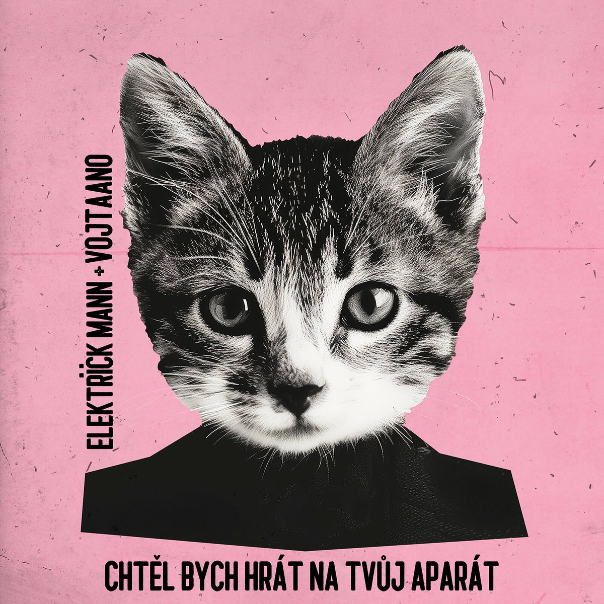 Album cover of Chtěl Bych Hrát Na Tvůj Aparát