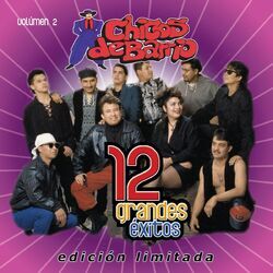 Cover of 12 Grandes exitos Vol. 2