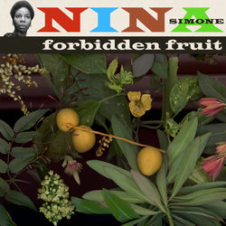 Descargar Gin House Blues - Nina Simone MP3