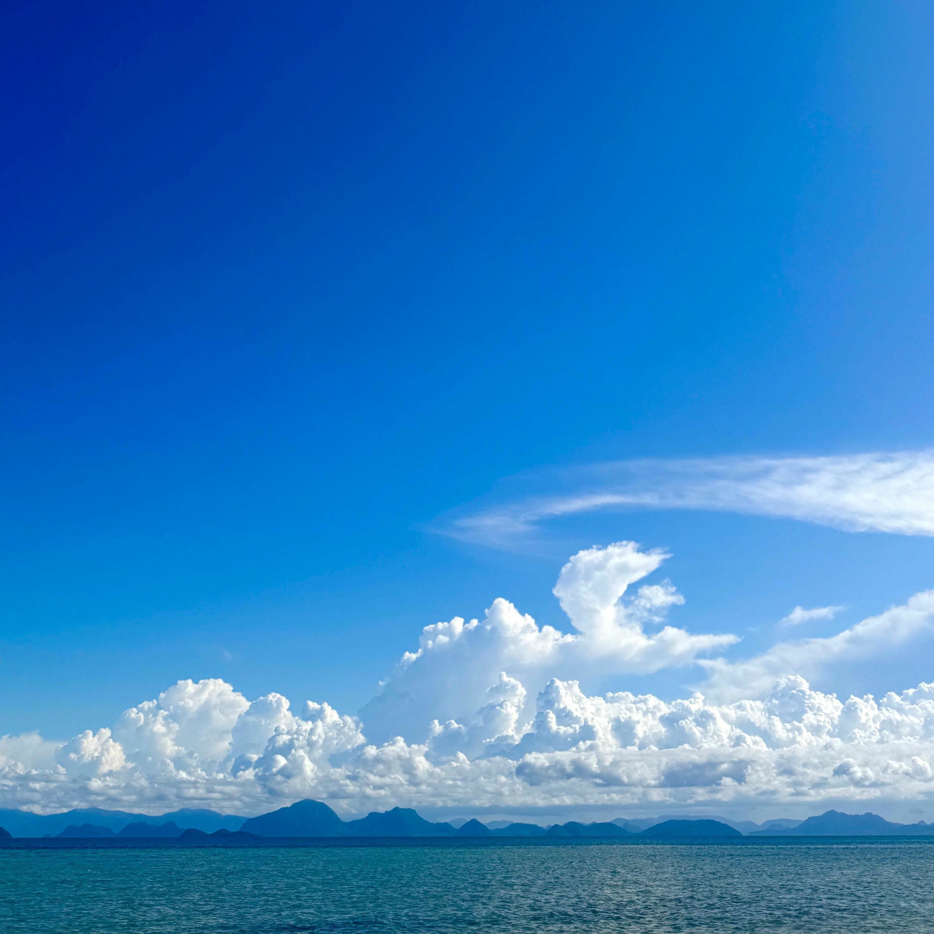 Album cover of Engelsreich