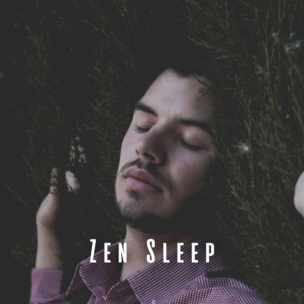 Picture of Zen Sleep: Meditation Music for Deep Rest
