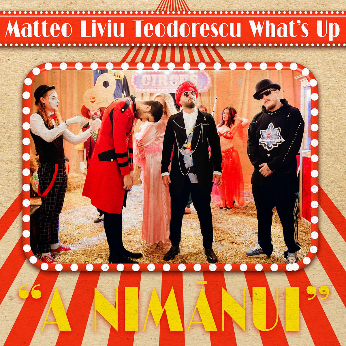 Album cover of A nimănui