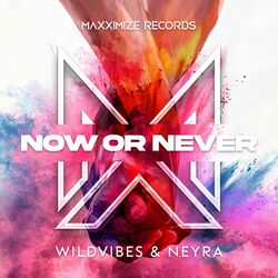 Cover of Now Or Never