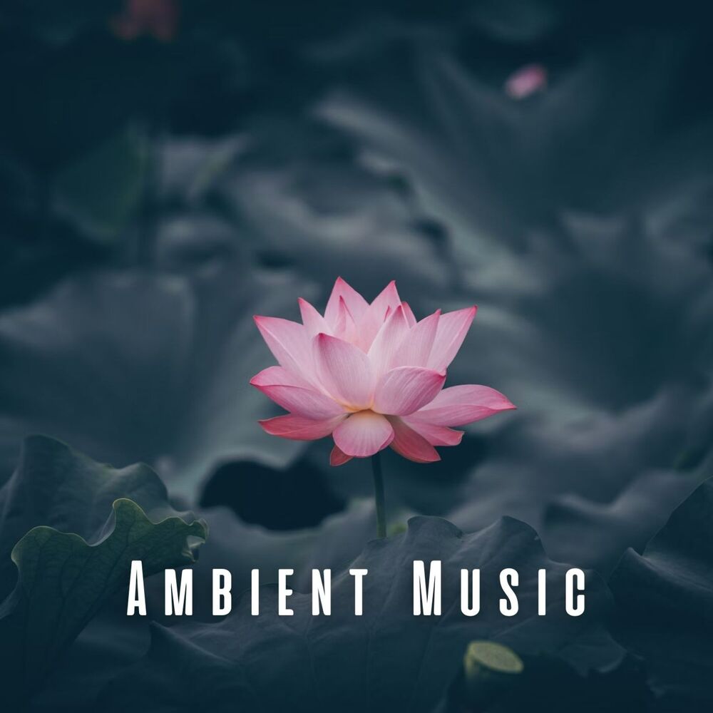 Picture of Ambient Music: Healing Meditation Vibes