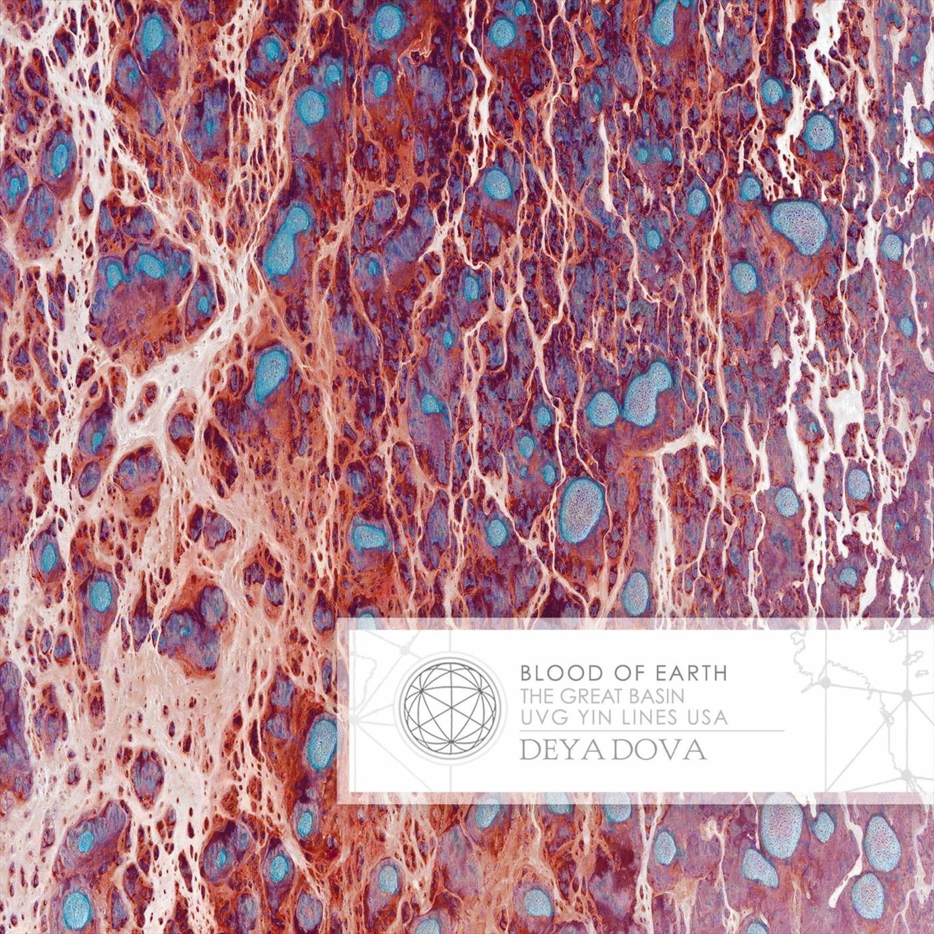 Album cover of Blood of Earth