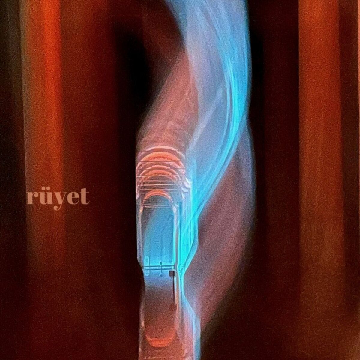 Album cover of rüyet