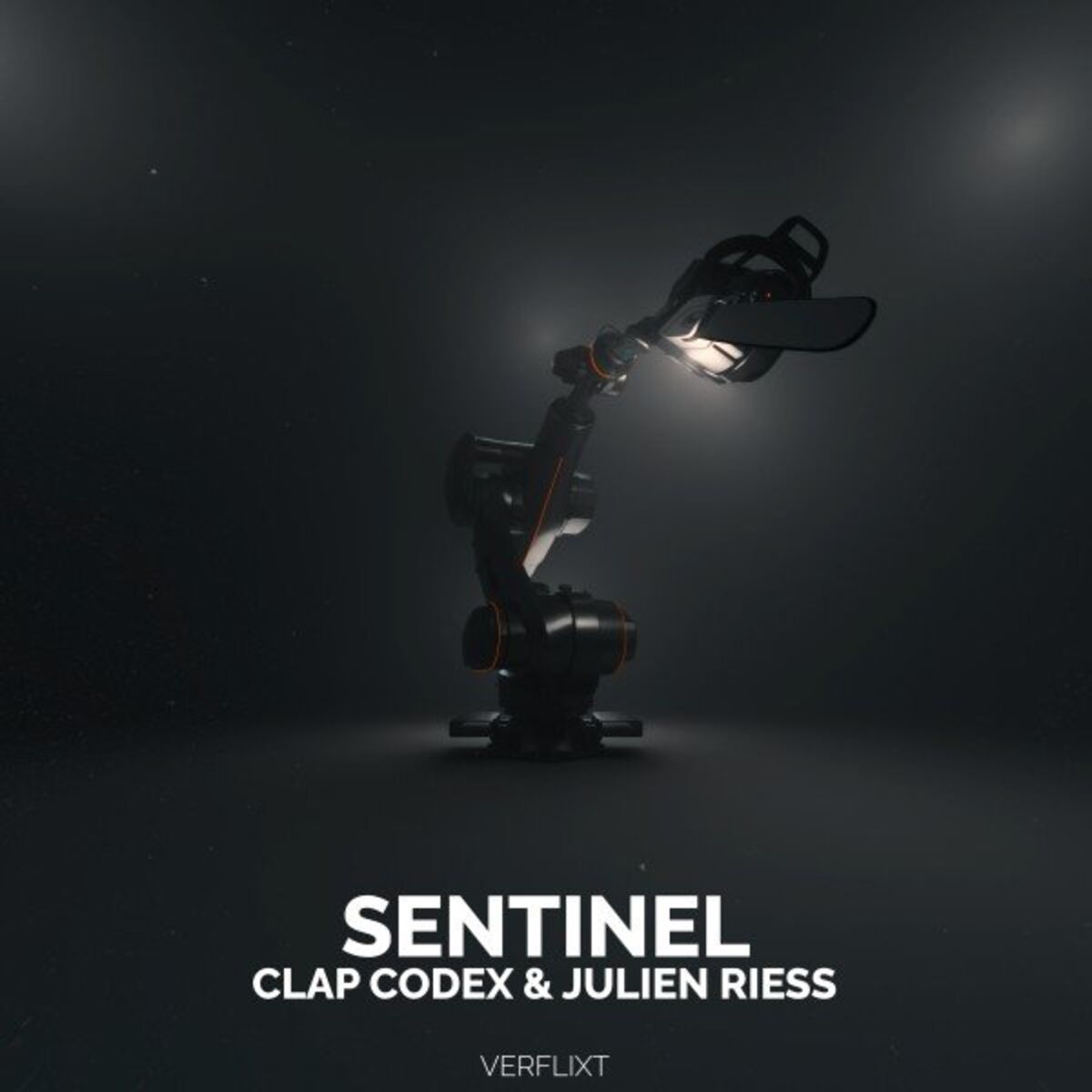 Album cover of Sentinel