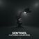 Sentinel (Original Mix)