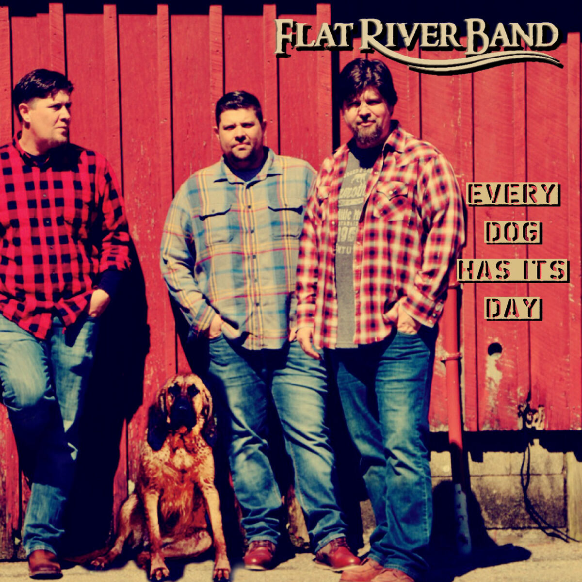 Album cover of Every Dog Has Its Day