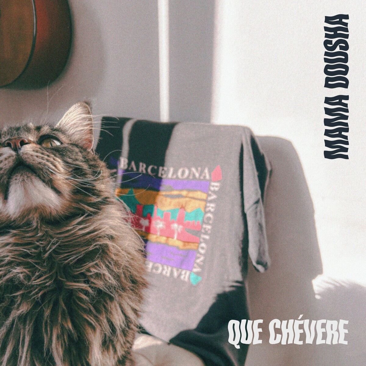 Album cover of Que Chévere