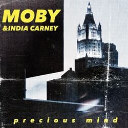Cover of precious mind