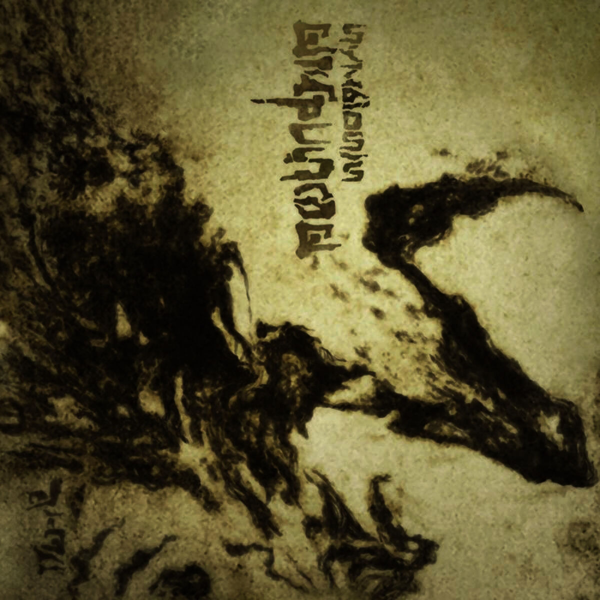 Album cover of Symbiosis