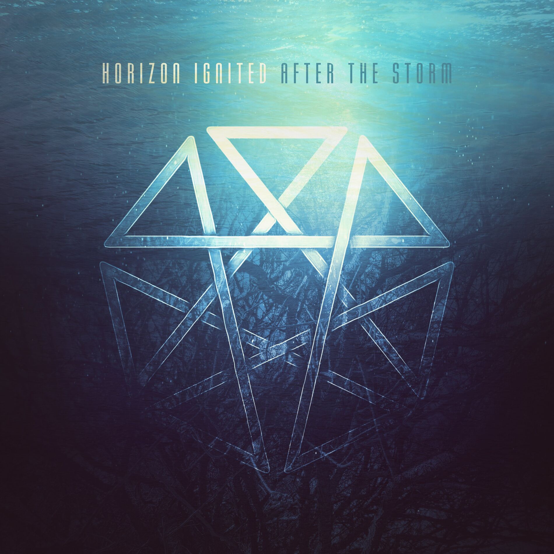 Album cover of After The Storm
