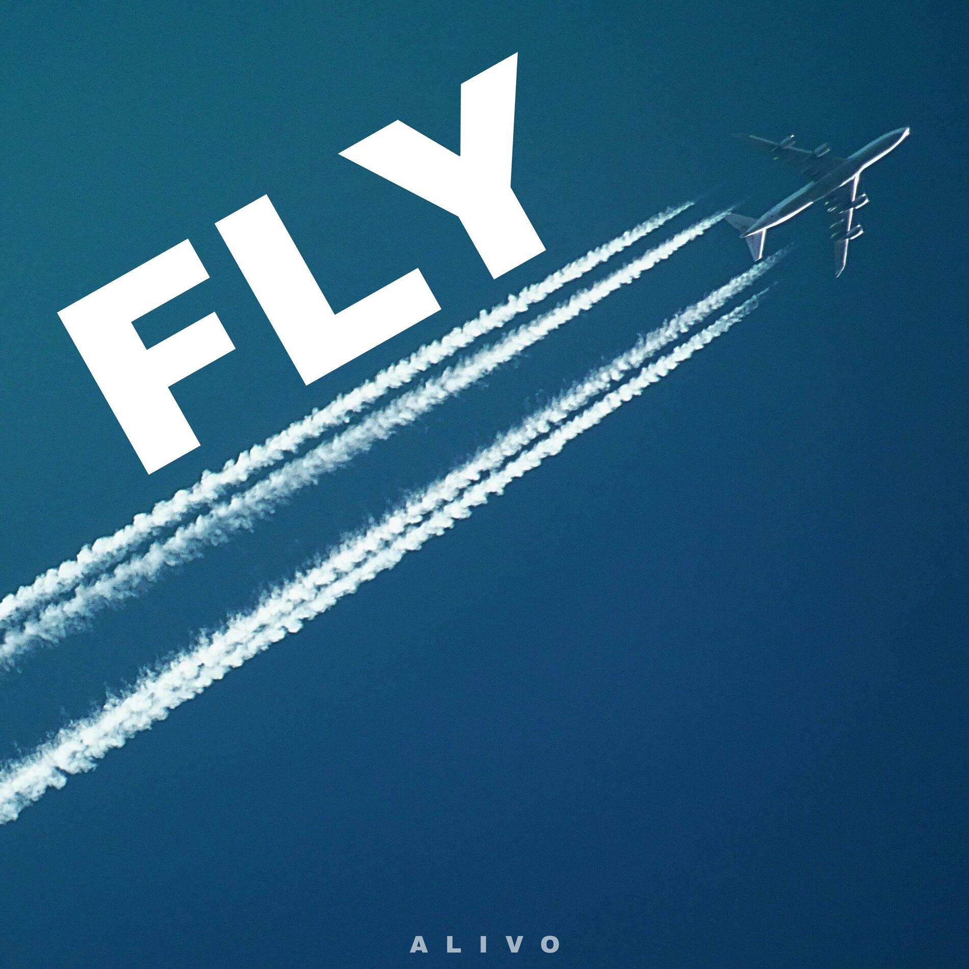 Album cover of Fly
