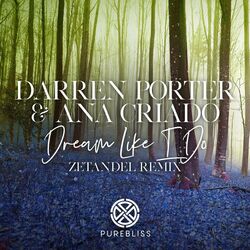 Cover of Dream Like I Do (Zetandel Remix)