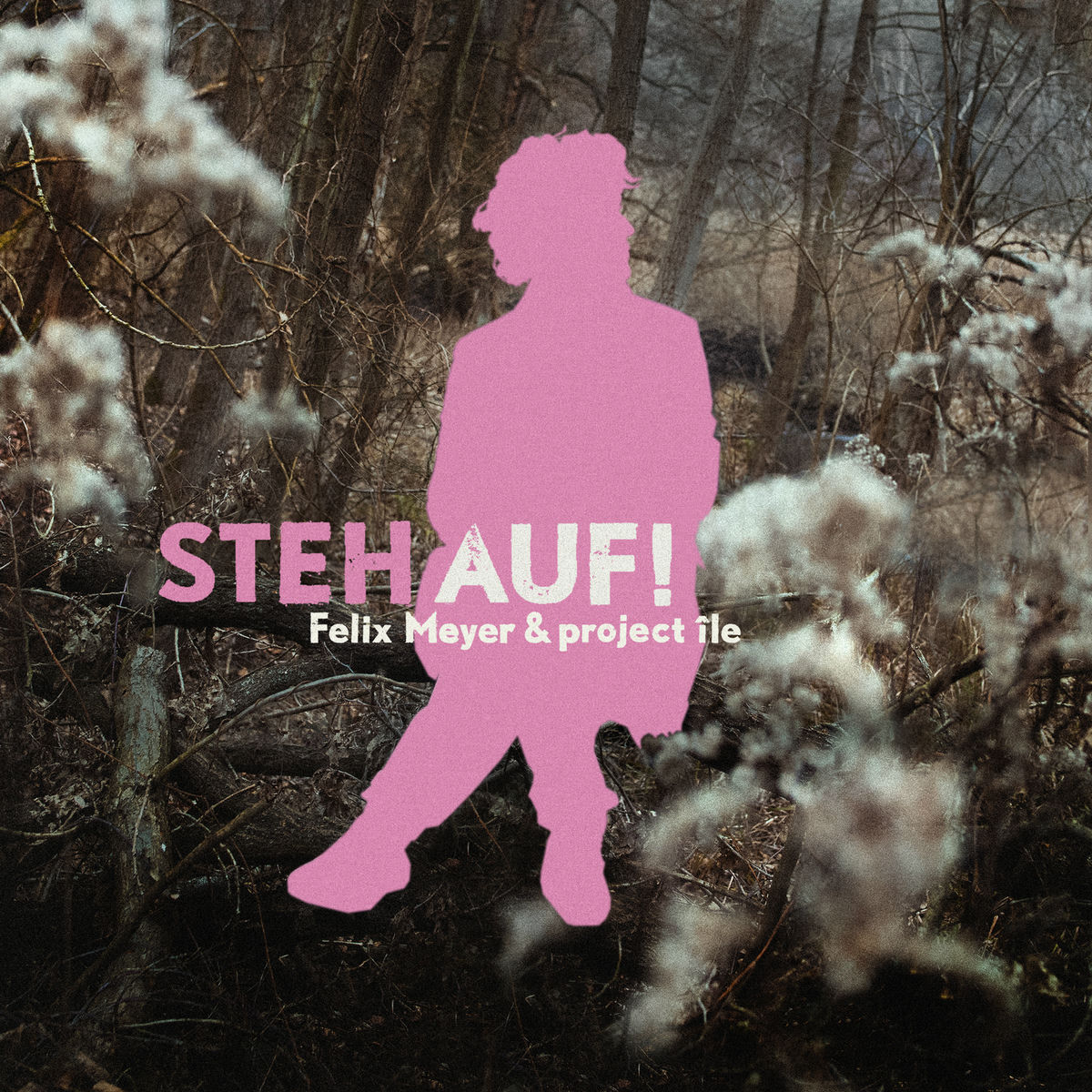 Album cover of Steh auf!