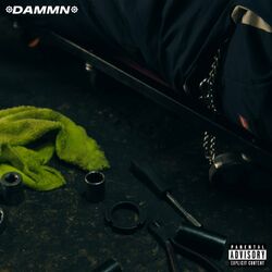 Cover of DAMMN