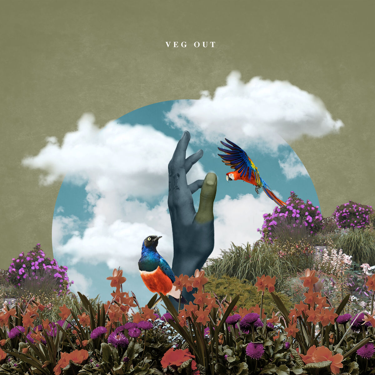 Album cover of Veg Out (Wasting Thyme)