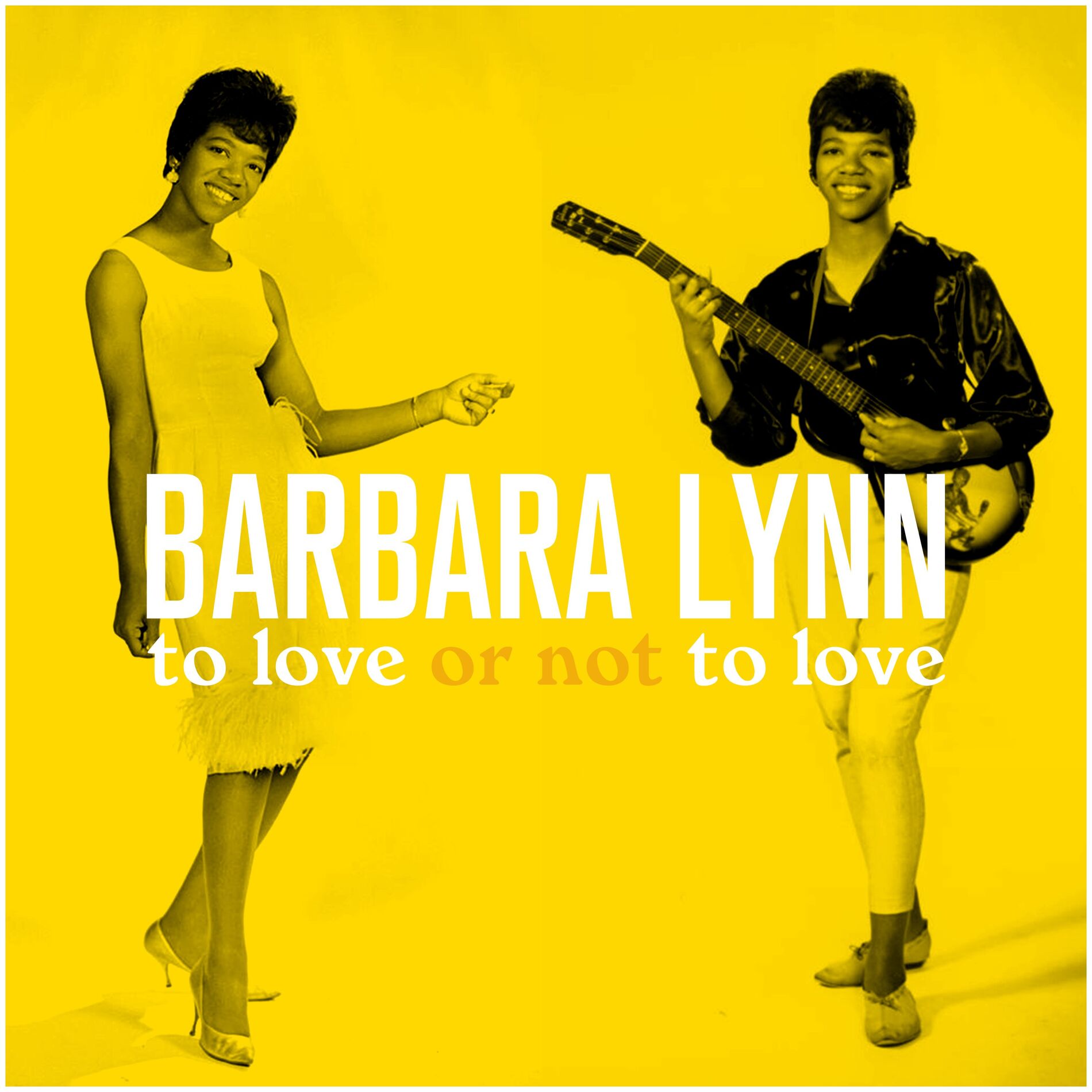 Album cover of To Love or Not to Love