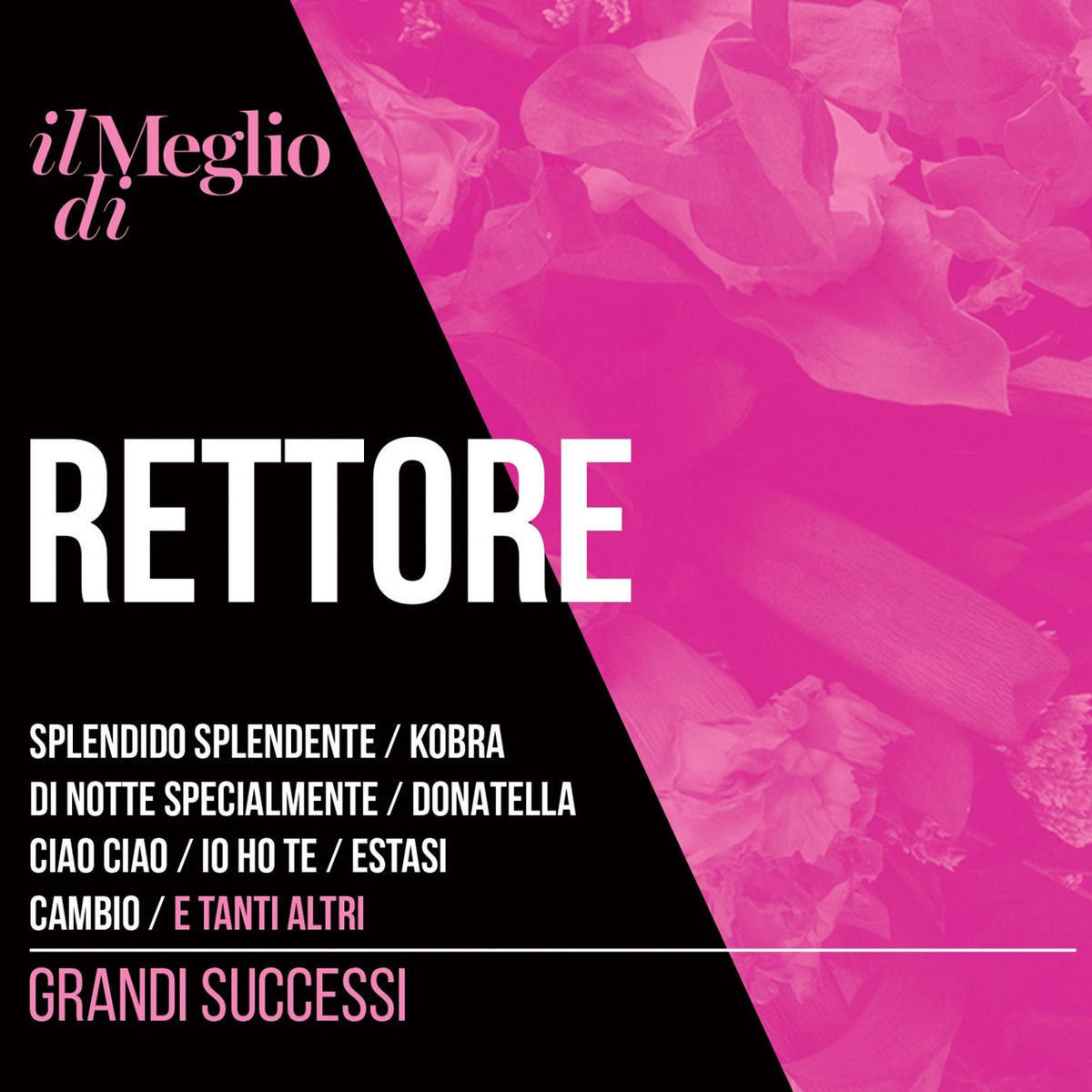 Album cover of Il Meglio Di Rettore: Grandi Successi