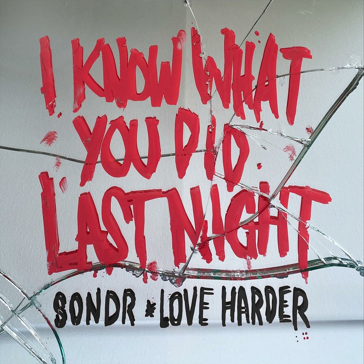 Album cover of I Know What You Did Last Night