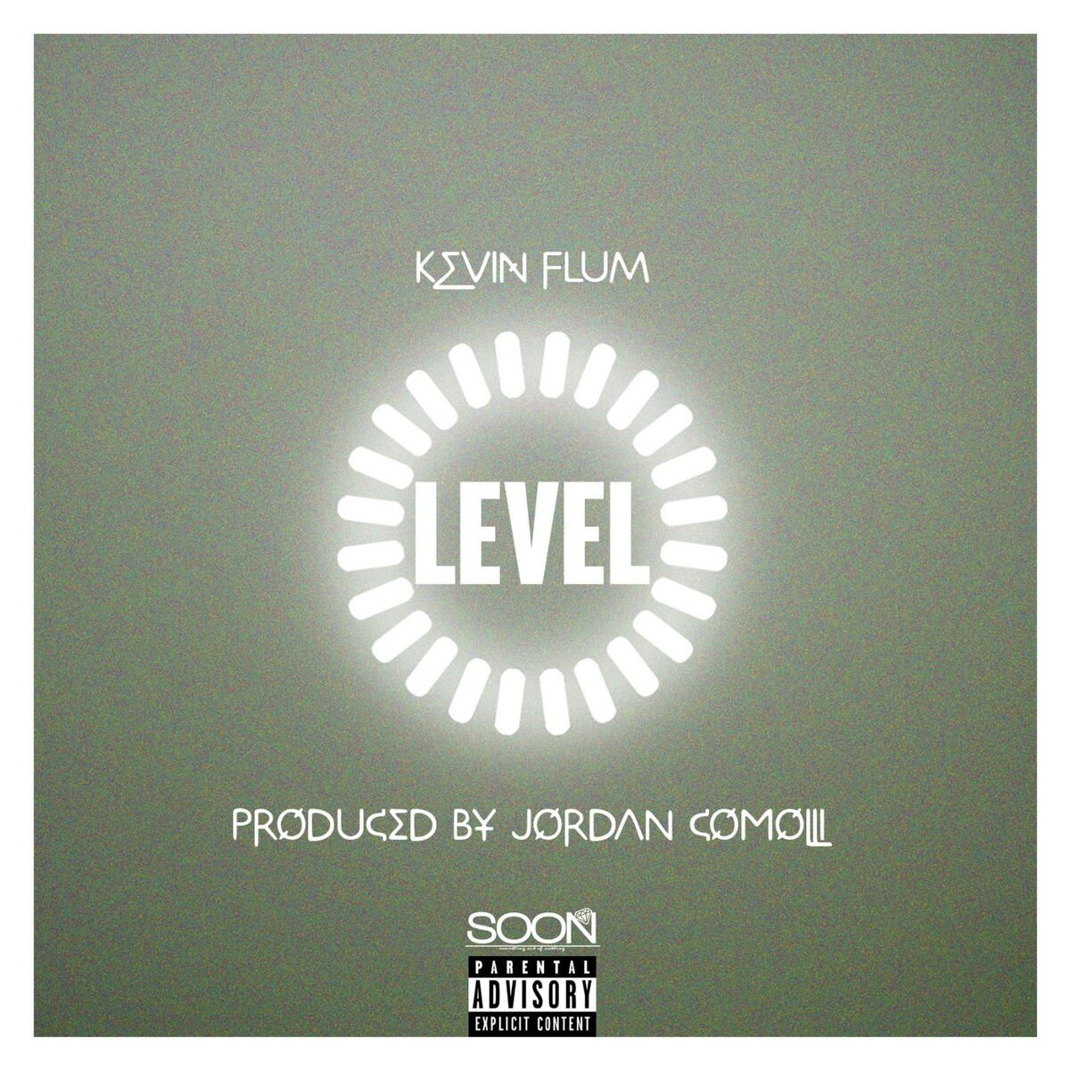 Album cover of Level