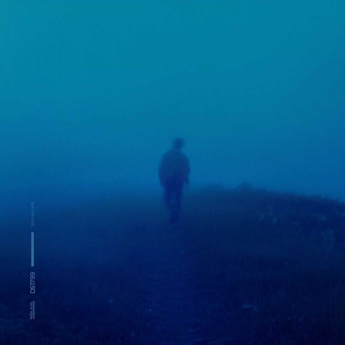 Album cover of overthinking