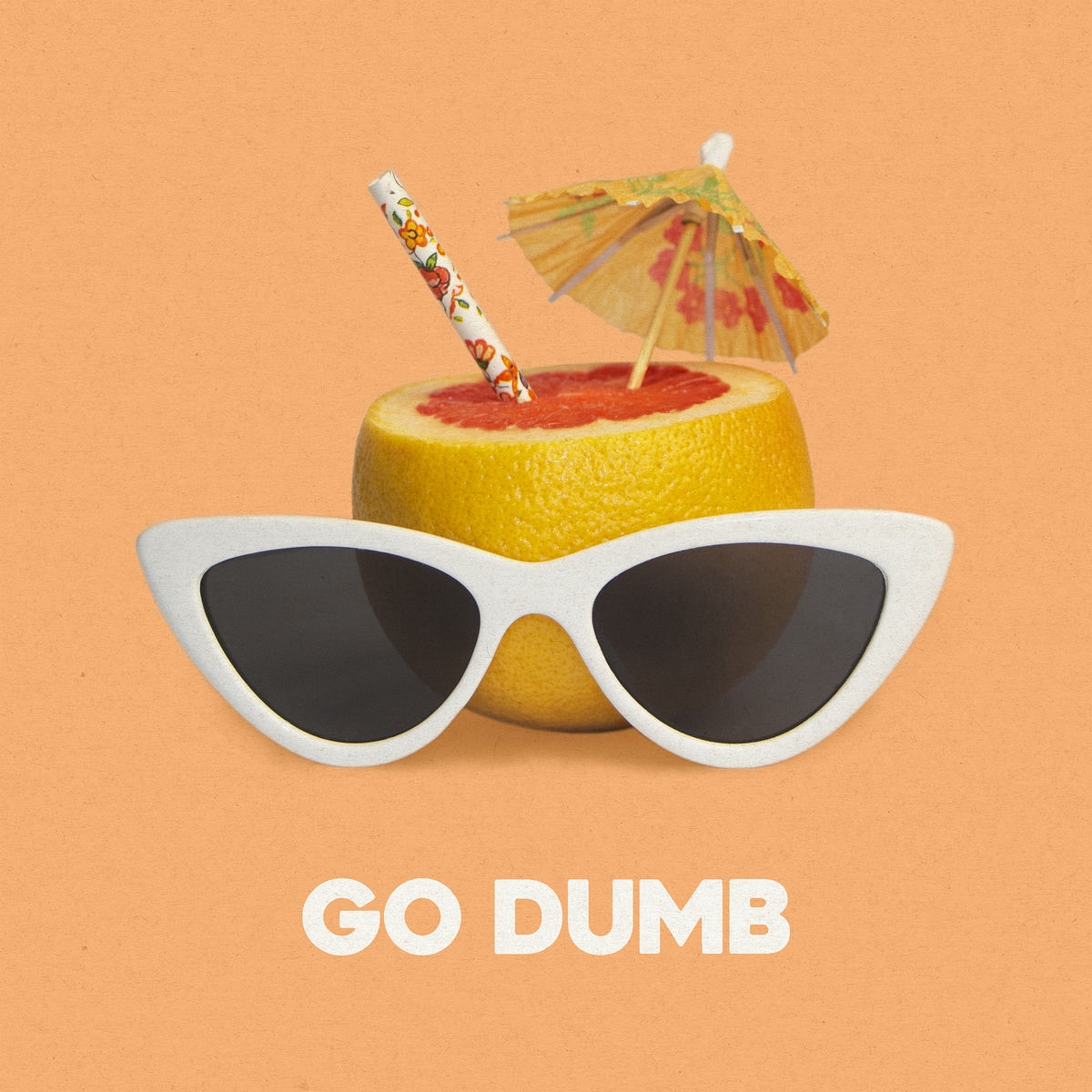 Album cover of Go Dumb