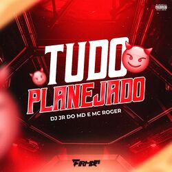 Cover of TUDO PLANEJADO