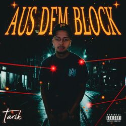 Cover of Aus dem Block