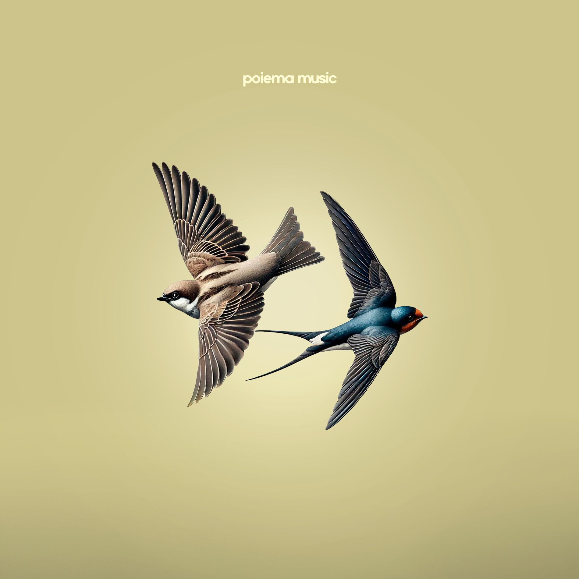 Album cover of Teus Altares