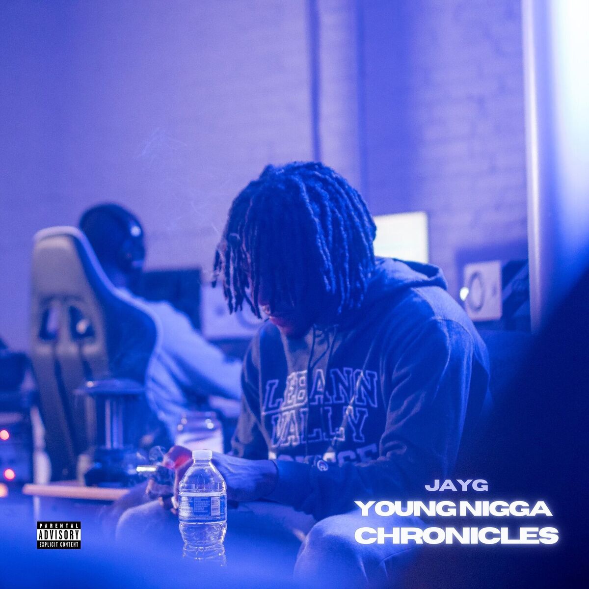 Album cover of Young Nigga Chronicles