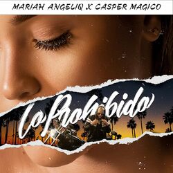 Cover of Lo Prohibido