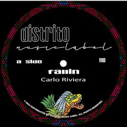 Cover of Fallin