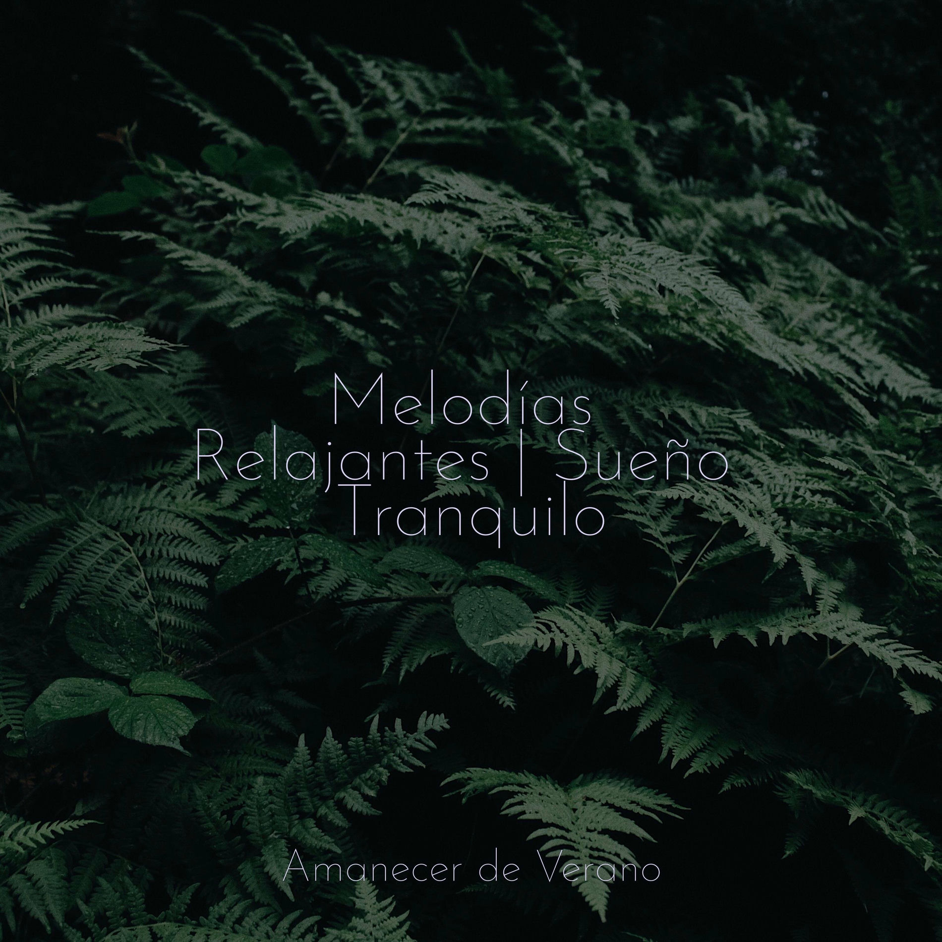 Album cover of Melodías Relajantes | Sueño Tranquilo