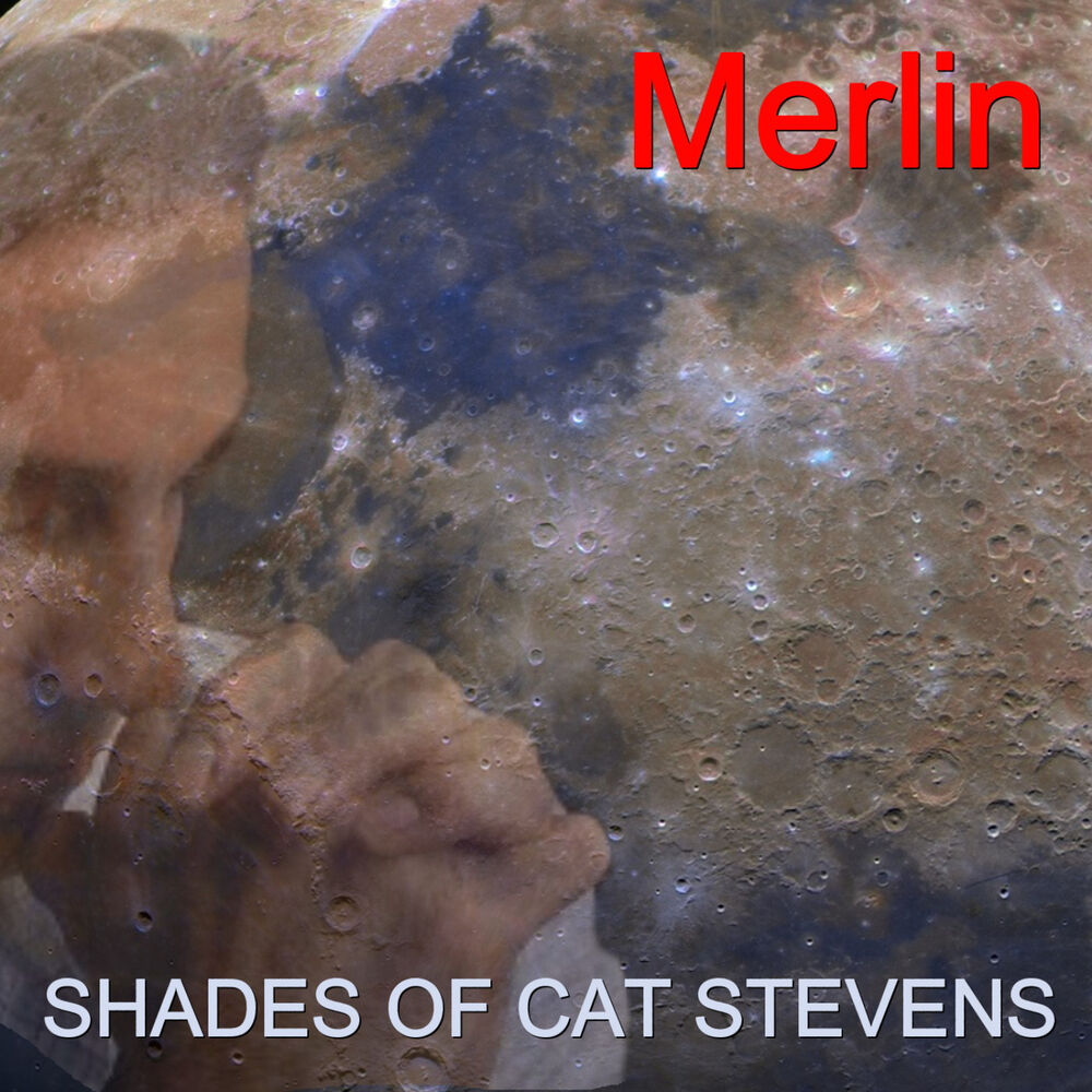 Picture of Shades of Cat Stevens
