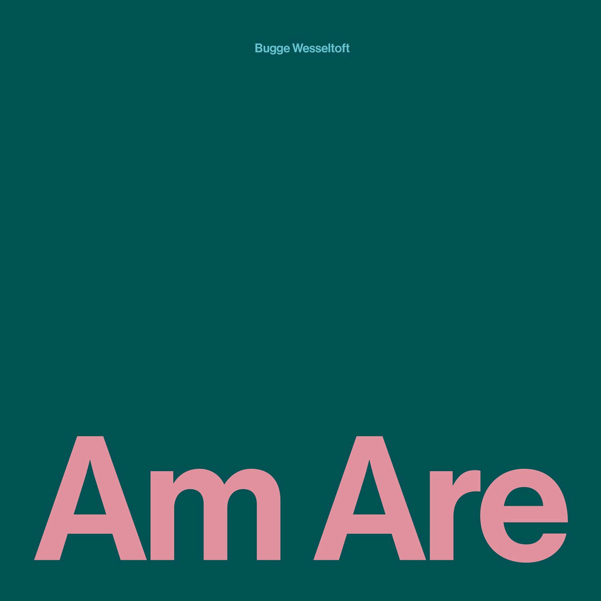 Album cover of Am Are