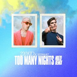 Cover of Too Many Nights (Noizu Remix)