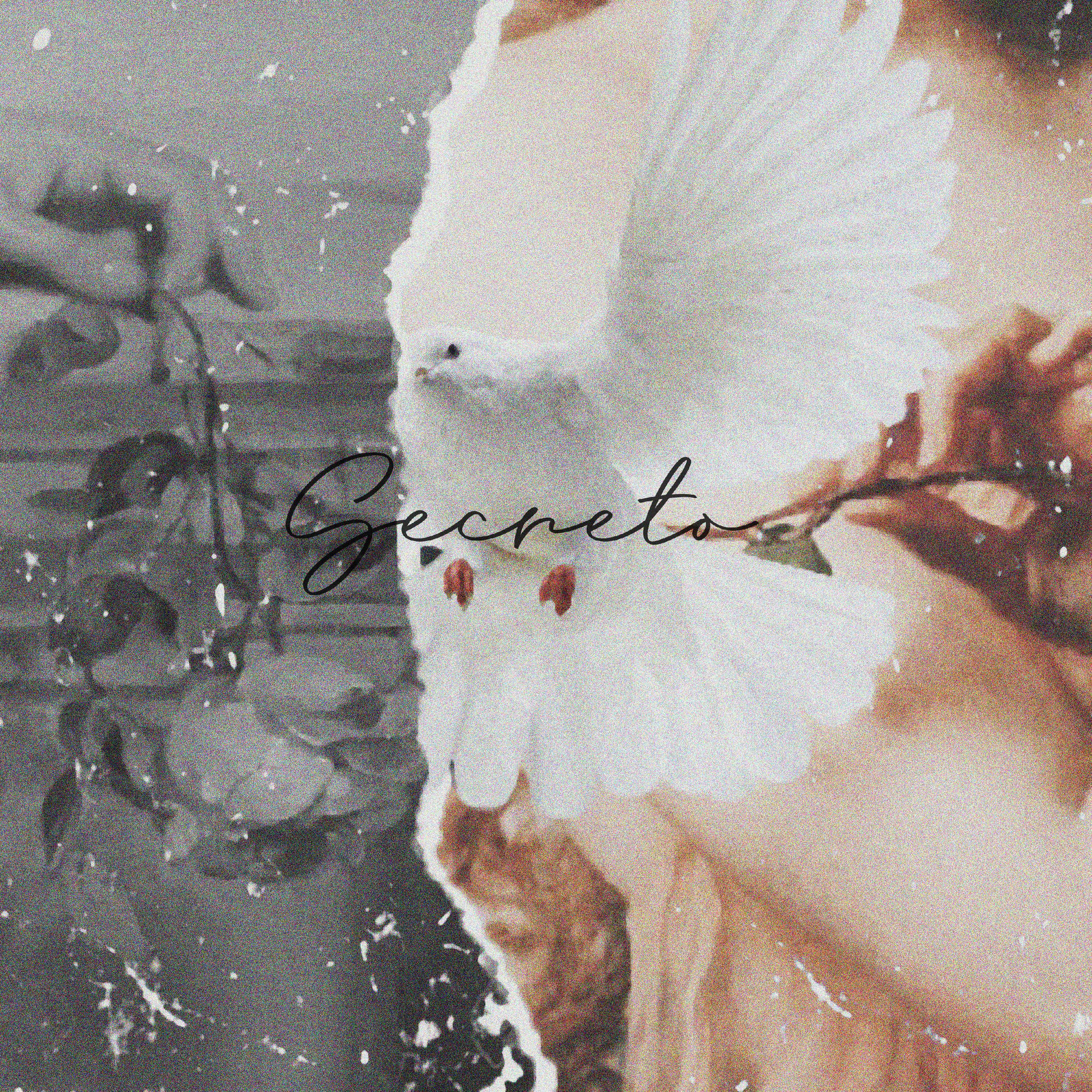 Album cover of Secreto