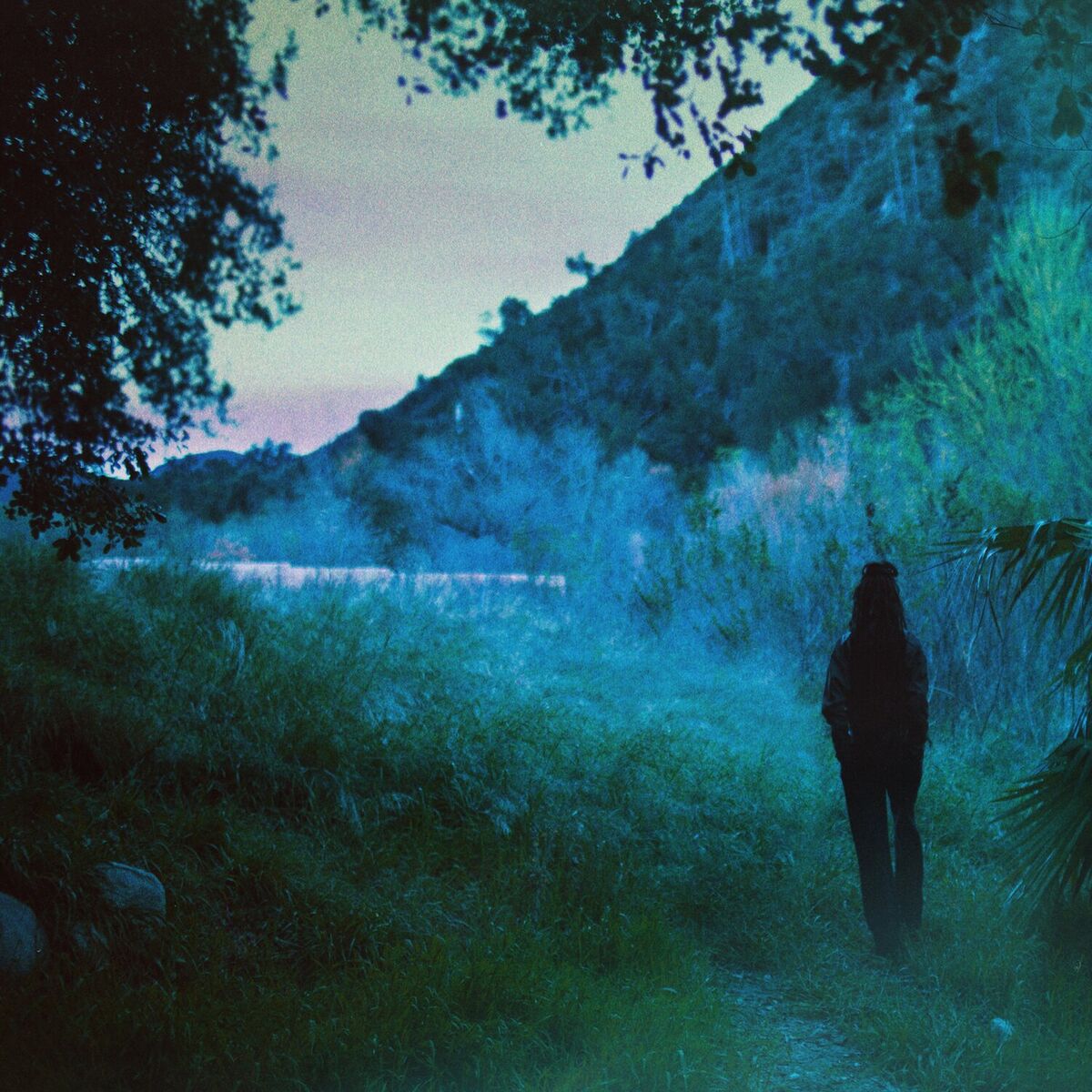 Album cover of Amor Imposible