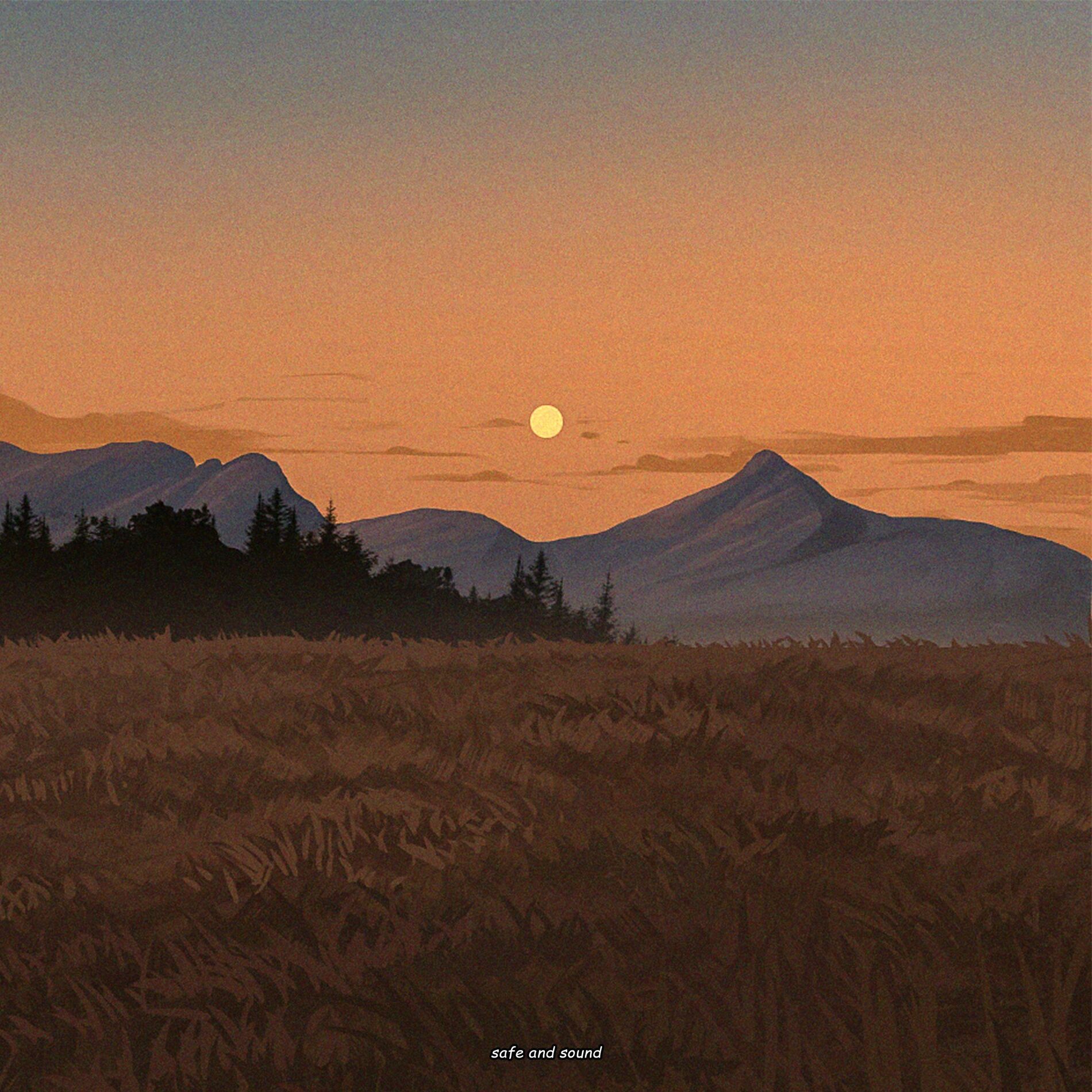 Album cover of Safe and Sound