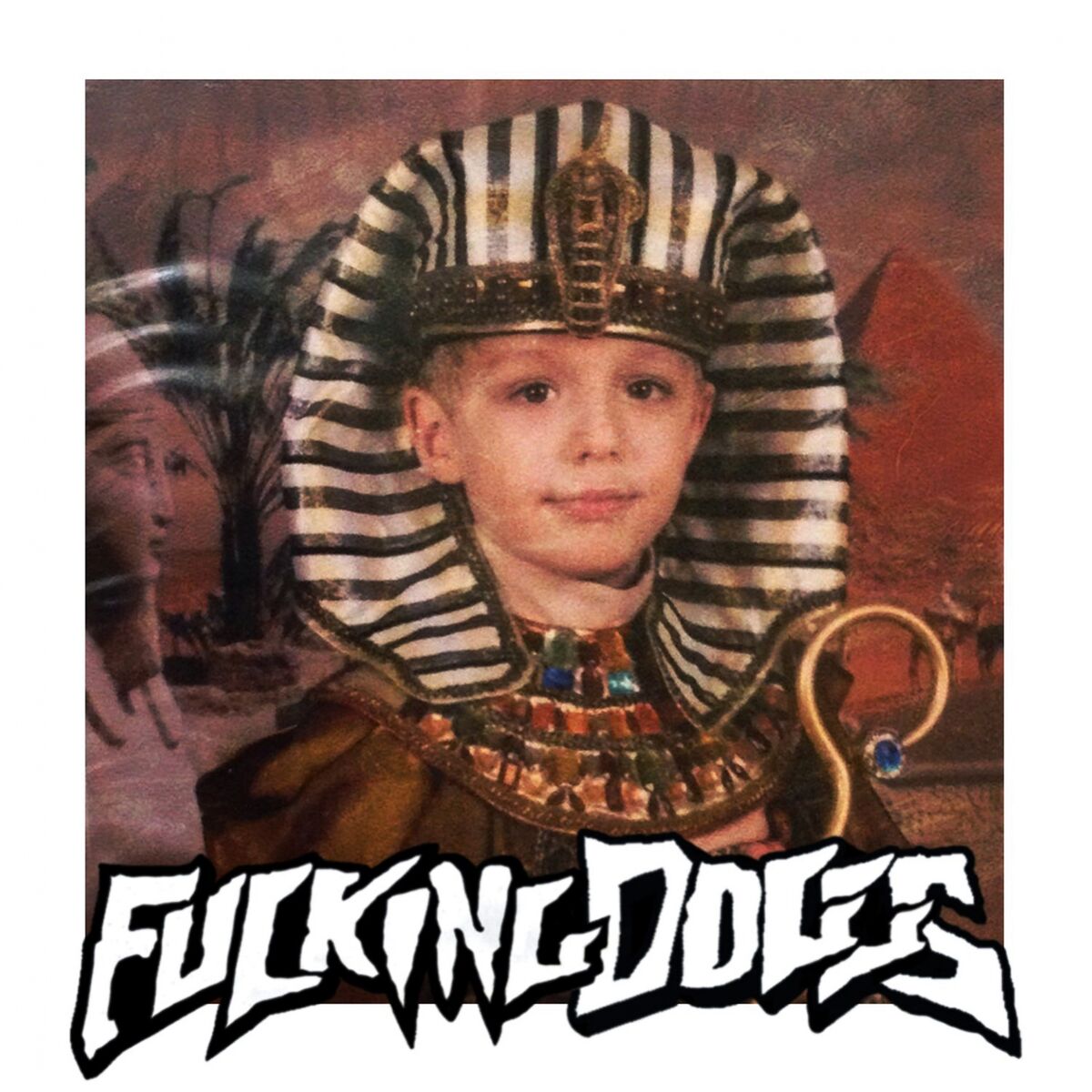 Album cover of Fucking Dogs