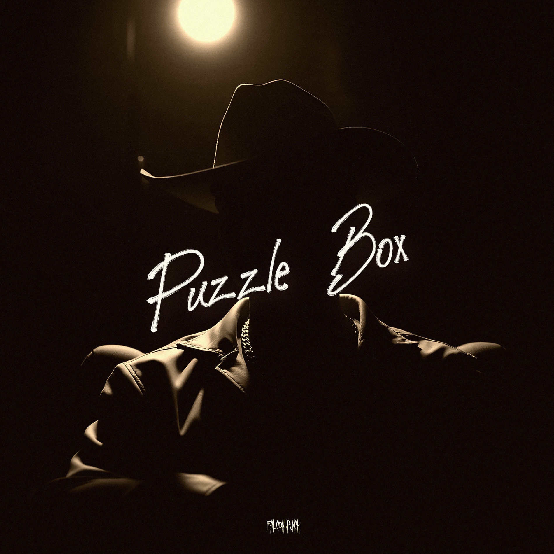 Album cover of Puzzle Box